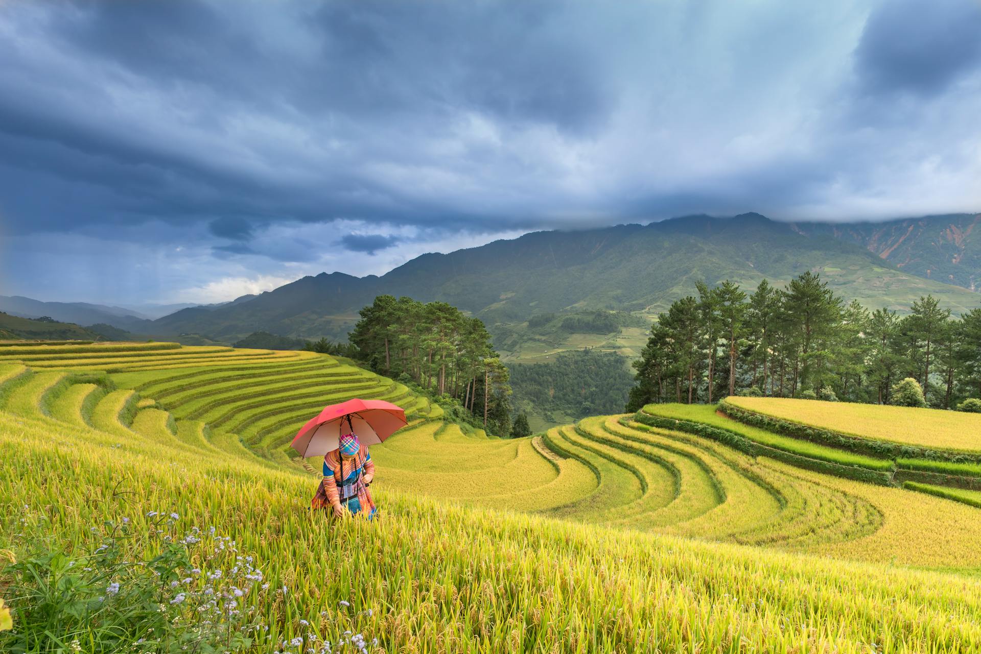 Capture the vibrant beauty of Lao Chai in spring